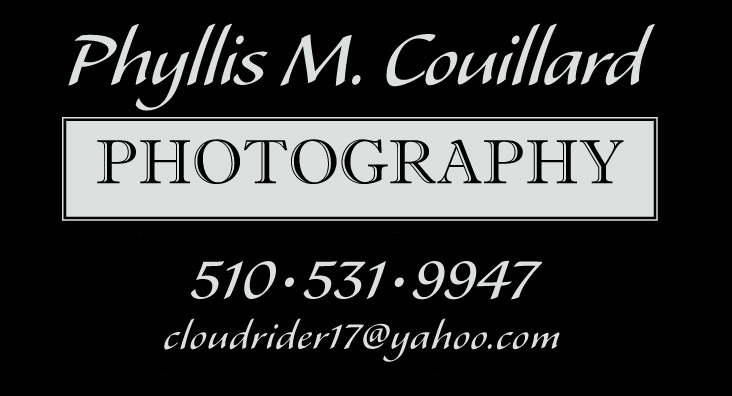 Phyllis M. Couillard Photography