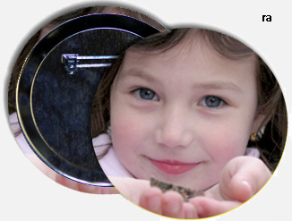 Photo Buttons
