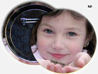 Button Pins